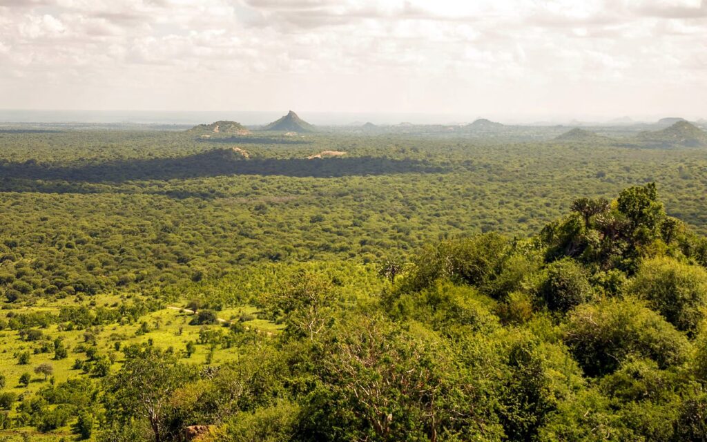 Wide view over green bushland and rocky hills under a cloudy sky