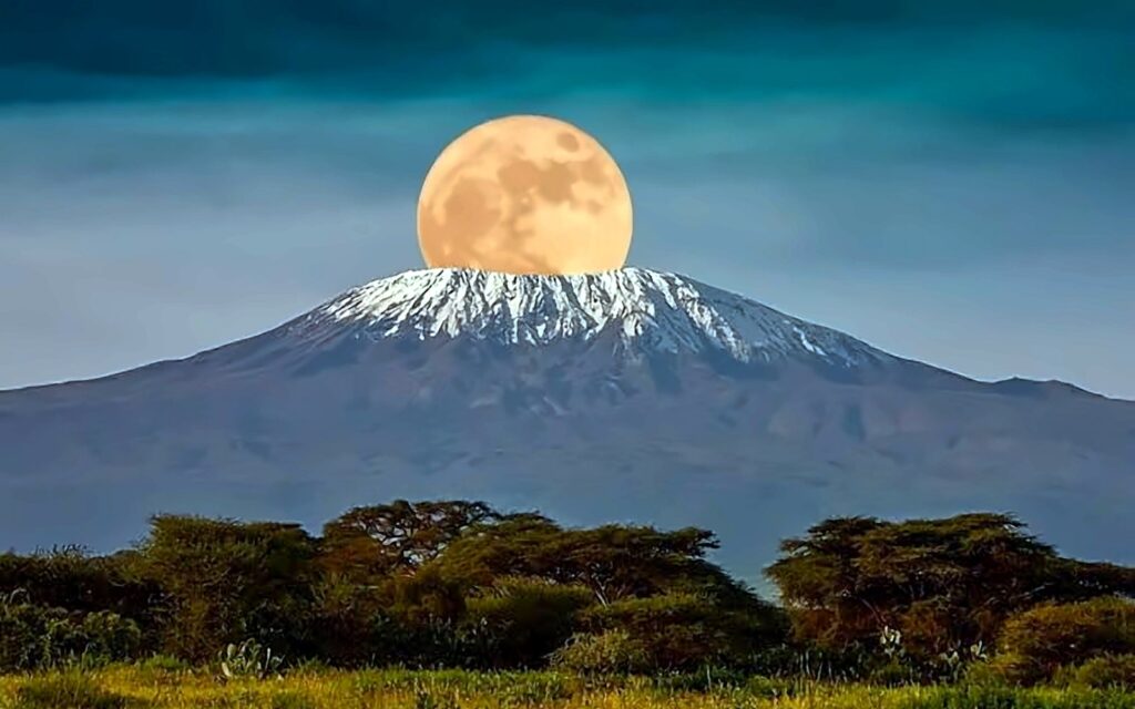 Full moon rising behind snow-capped Mount Kilimanjaro with acacia trees in the foreground
