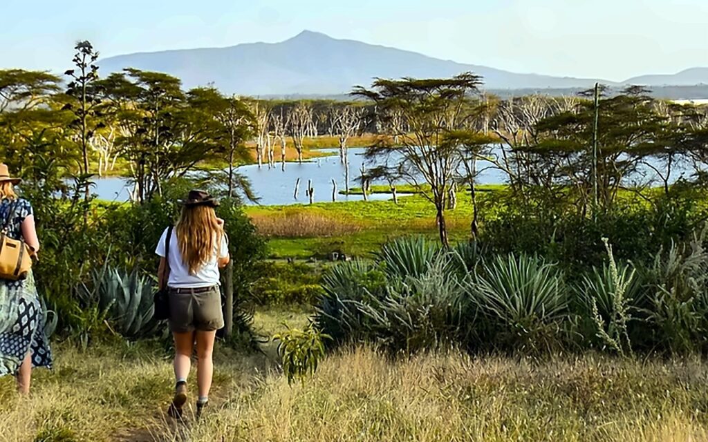 Two visitors walking along a grass path toward a lake with flooded acacia trees and a distant mountain