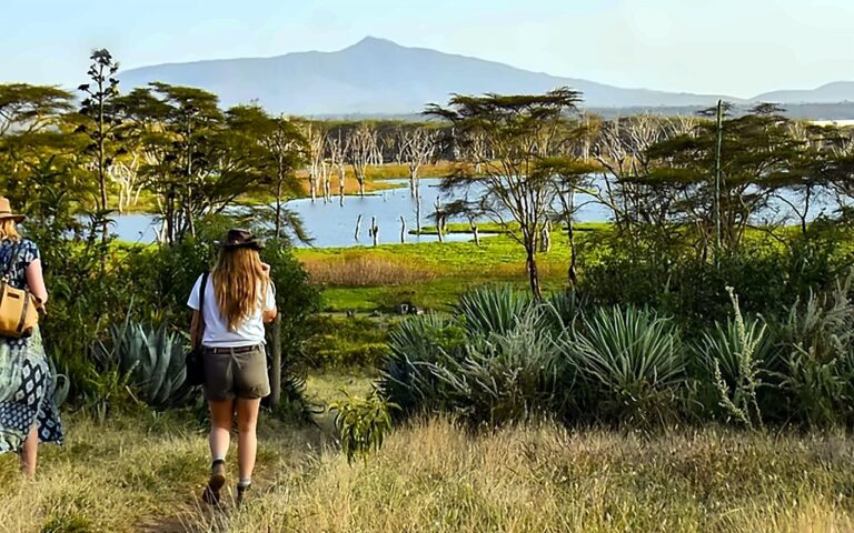 Two visitors walking along a grass path toward a lake with flooded acacia trees and a distant mountain